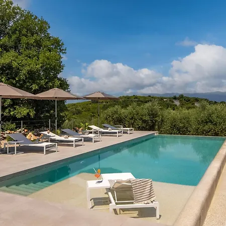 Villa Moana Mit Olivenhain
