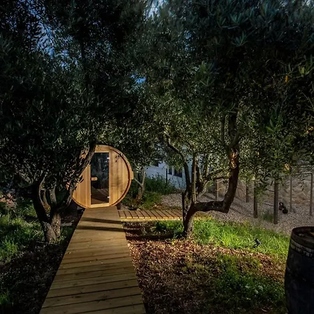 Moana Mit Olivenhain * Vrbnik (Primorje-Gorski Kotar)